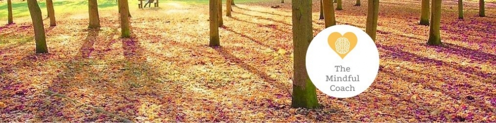 Robyn Calvert - cover