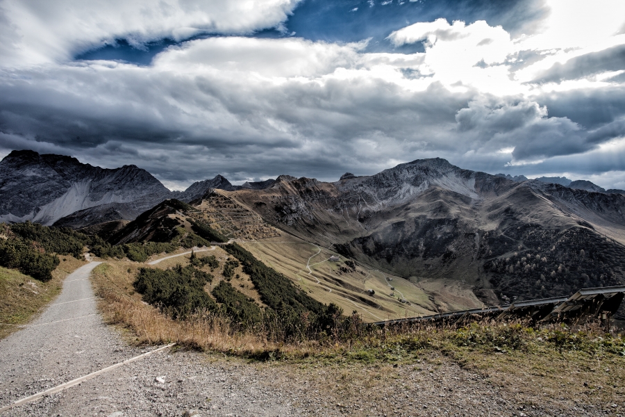 Amber Trevaskis Bloomer - media 147