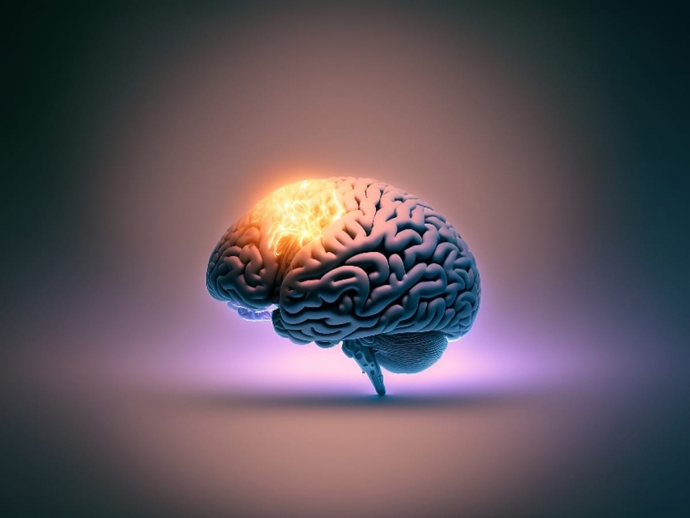Machine-learning model to predict churn