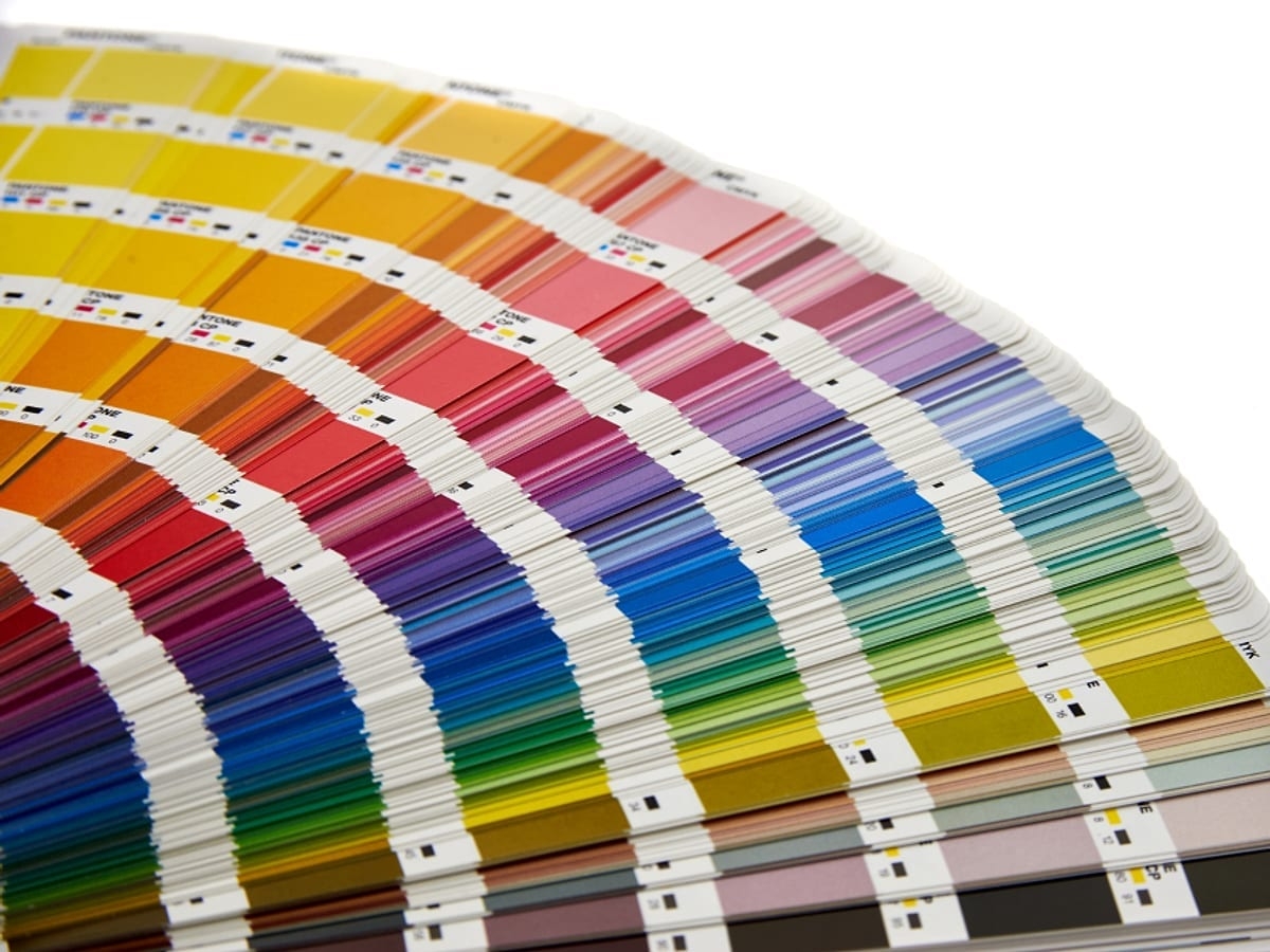Brand identity: logo, palette and guidelines