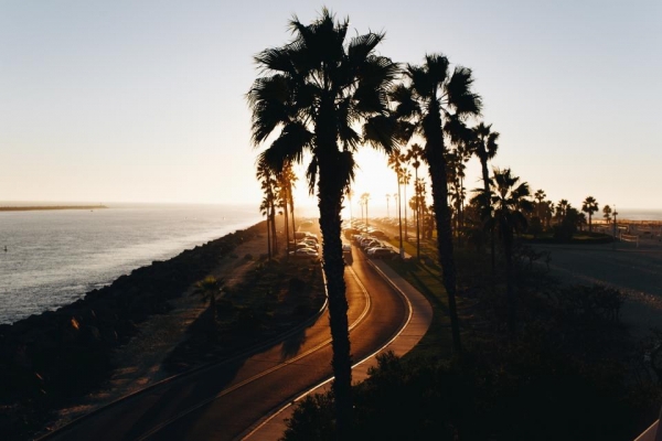 A coastal road lined with palm trees at sunset