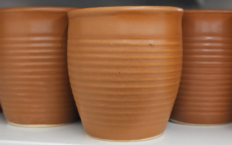 Hand-thrown cups drying on a shelf at Studio Arca.