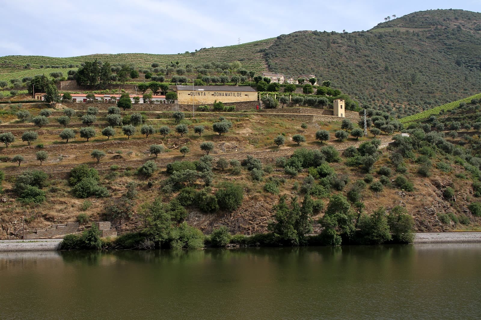 Douro quinta visit and wine tasting