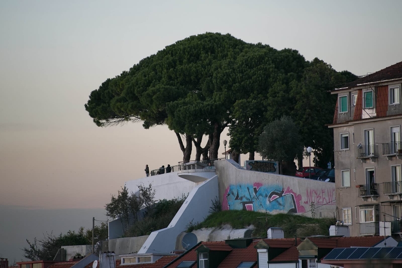 Lisbon's viewpoints at sunset