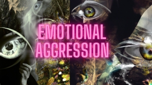 5 Ways To Help Your Loved One To Reduce The Level of Their Emotional Aggression
