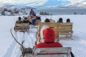 Our Magical Day of Reindeer Sledding and Sami Culture in Tromsø